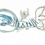 أنس أسامة