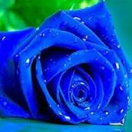 hayan