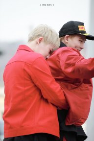 TAE