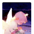 P . L I L A C