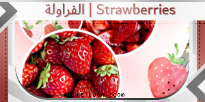  الفراولة | Strawberries