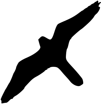 at_1718152186831.png