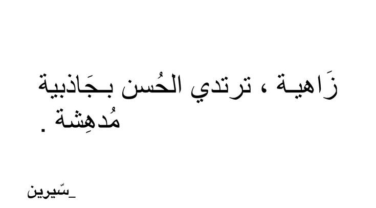 at_17188269612054.jpg