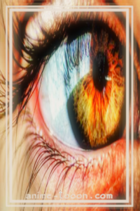 at_172065320599672.png