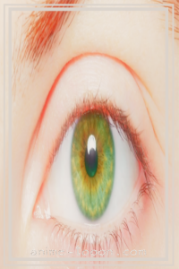 at_17206870160831.png