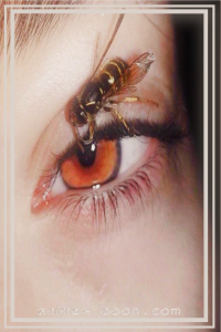 at_172068701626328.png