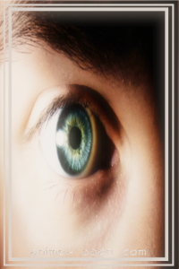 at_172068742847368.png