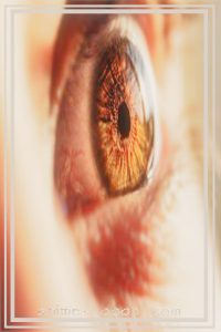 at_1720687989886410.png