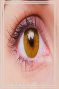 at_172068827309857.png