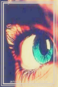 at_17206892025265.png