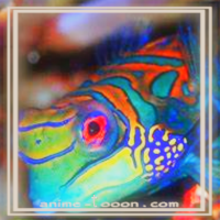 at_172069149821461.png