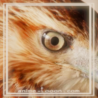 at_172069149824082.png