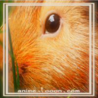 at_172069149833096.png