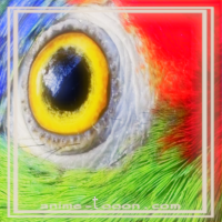 at_172069149838538.png