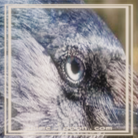 at_172069178710231.png
