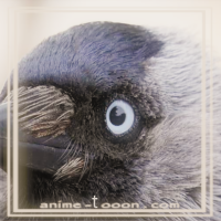 at_172069178714763.png