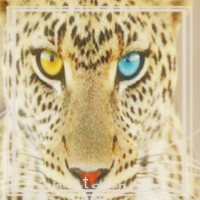 at_172069178723367.png