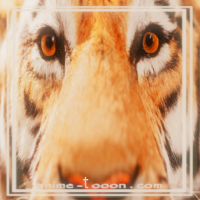 at_172069178727459.png