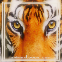 at_172069178729610.png