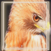 at_172069206723911.png