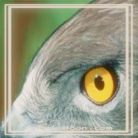 at_172069206734366.png