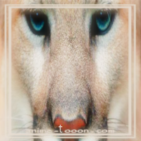 at_172069291670951.png