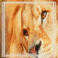 at_172069291675112.png