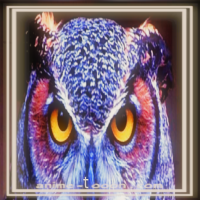 at_172069291687778.png
