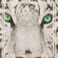 at_1720692916917910.png
