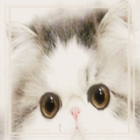 at_172069321091861.png