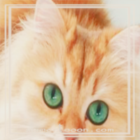 at_172069321095752.png