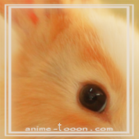 at_172069351084811.png