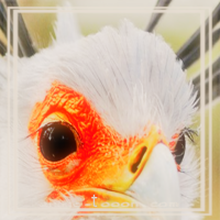 at_172069351093735.png