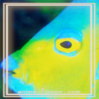 at_172069351095896.png