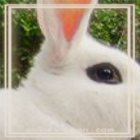 at_172069351098247.png