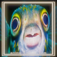 at_172069378008031.gif