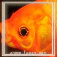 at_17206937804957.gif