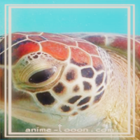 at_172069378061388.png