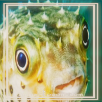 at_1720693780655610.png