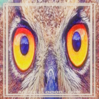 at_172069398690272.png