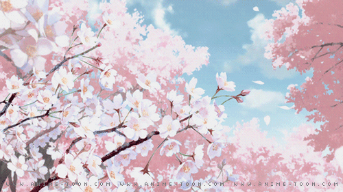 at_172098294852821.gif