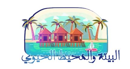 at_17426559026164.png