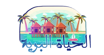 at_174265590265396.png