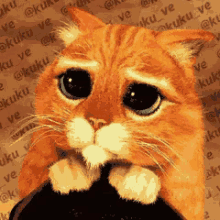 at_174354212403781.gif