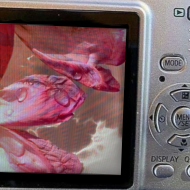 at_174446092196014.png