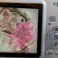 at_174446092201316.png