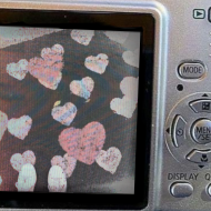 at_174446092203397.png