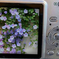 at_174446122768553.png