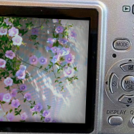 at_174446122770364.png