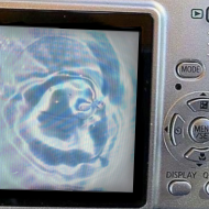 at_1744461227824110.png